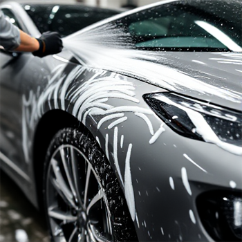 Exterior Cleaning Services