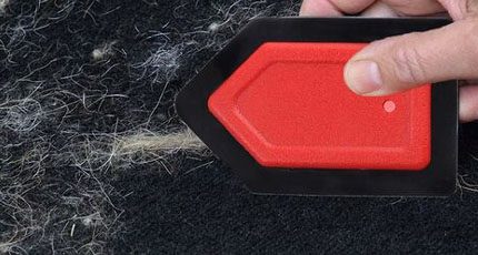 Mobile Pet Hair Removal