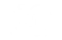 Interior Car Cleaning